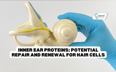 Inner Ear Proteins: Potential Repair and Renewal for Hair Cells