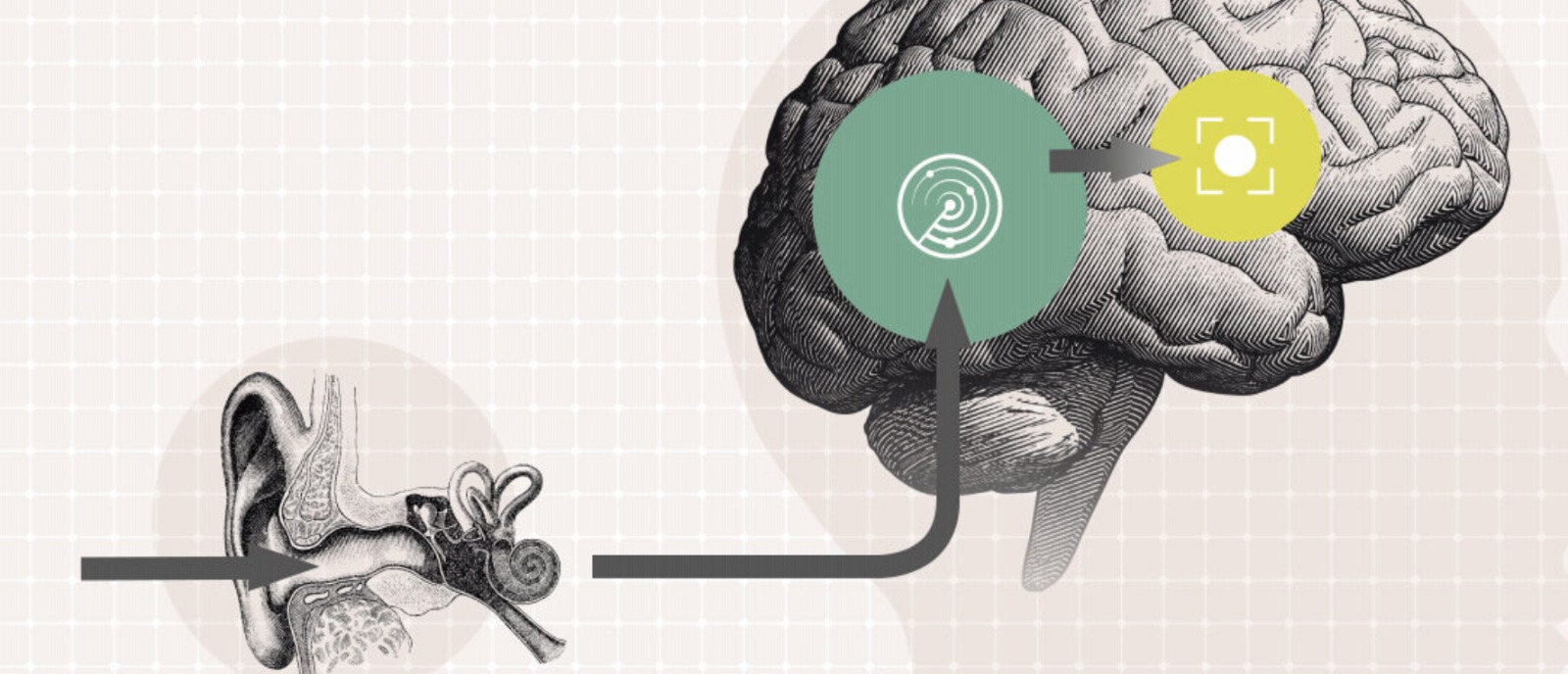 Hearing Health Affects Brain Health – Don’t Delay Your Hearing Test | Aanvii Hearing Why You Should Never Delay a Hearing Test – Hearing Health Affects Brain Health | Aanvii Hearing